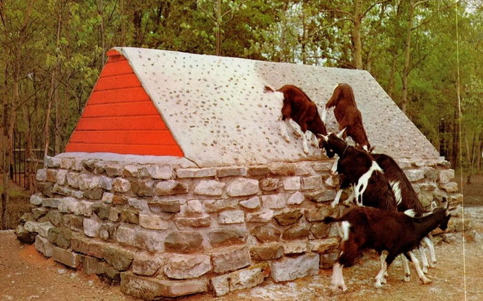 Deer Acres Storybook Amusement Park - Vintage Postcard (newer photo)